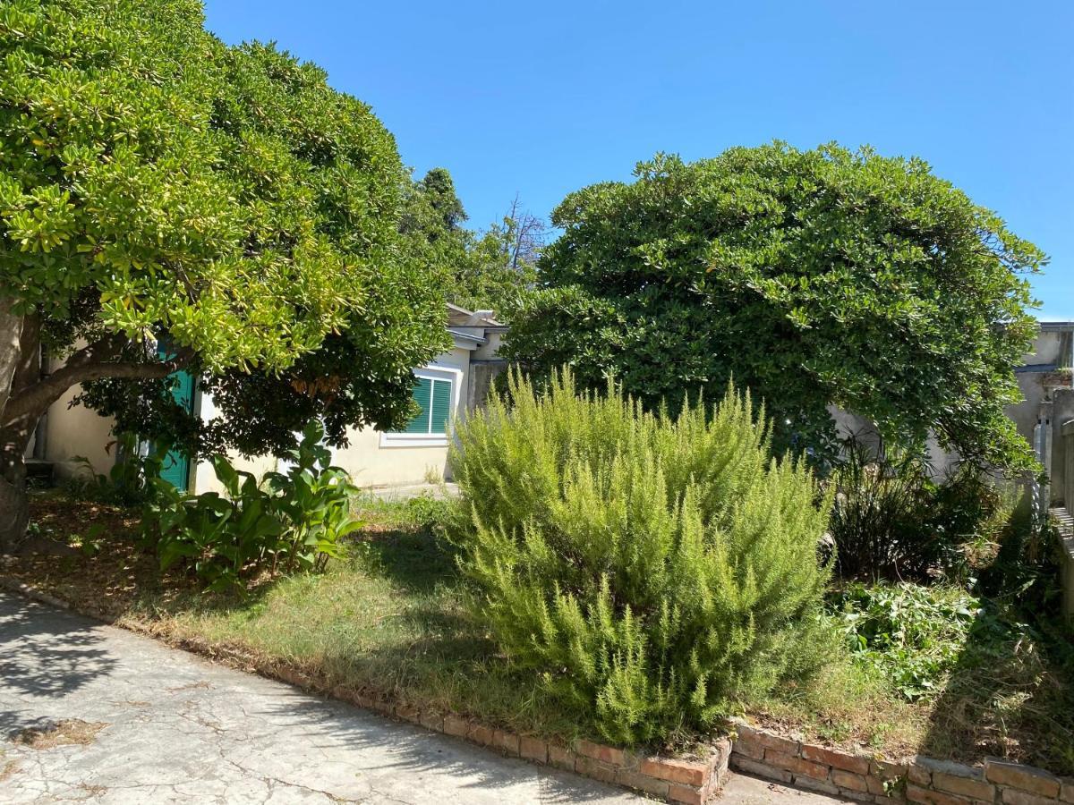 Ferienwohnung Zadar-City 外观 照片