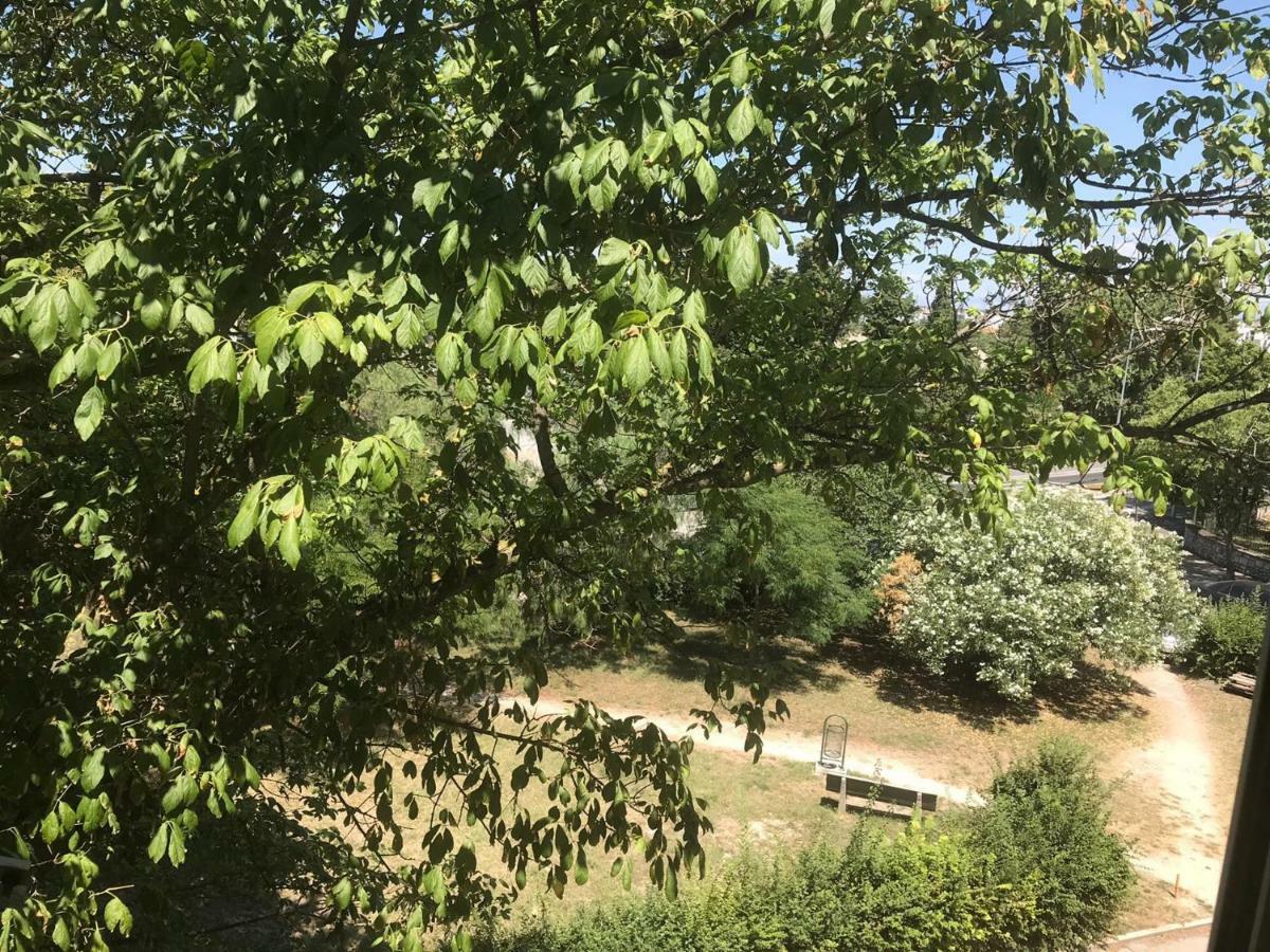 Ferienwohnung Zadar-City 外观 照片